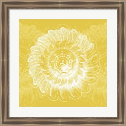 Framed Chromatic Rosette IV Print