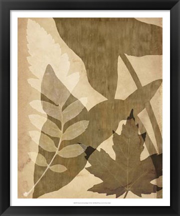 Framed Pressed Leaf Assemblage I Print