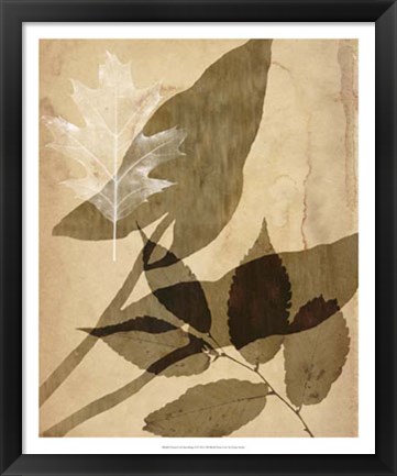 Framed Pressed Leaf Assemblage II Print