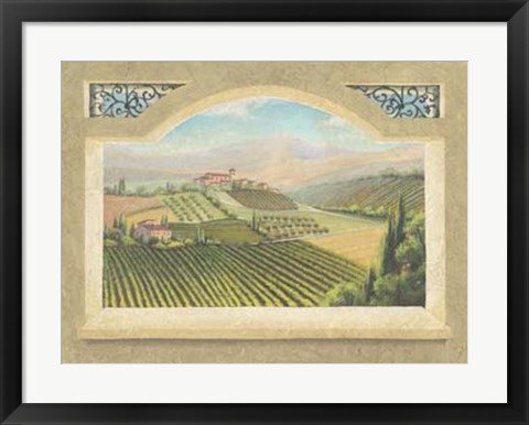 Framed Vineyard Window IV Print