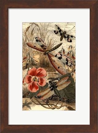 Framed Dancing Dragonfly I Print