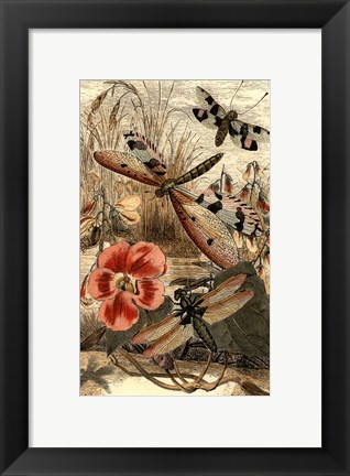 Framed Dancing Dragonfly I Print