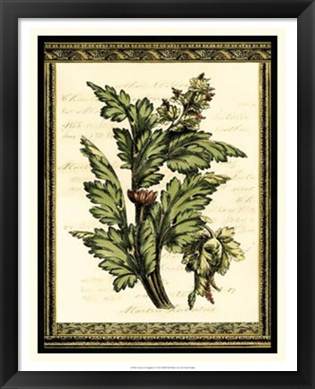 Framed Leaves of Elegance I Print