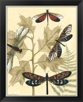 Framed Graphic Dragonflies in Nature I Print