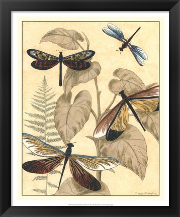 Framed Graphic Dragonflies in Nature II Print