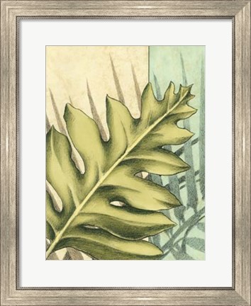 Framed Tropical Shade IV Print