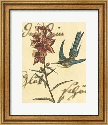 Framed Hummingbird Reverie IV Print