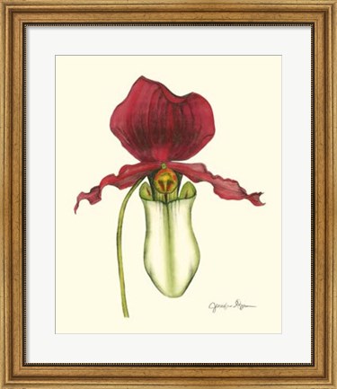 Framed Majestic Orchid I Print