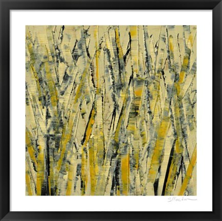 Framed Birches III Print