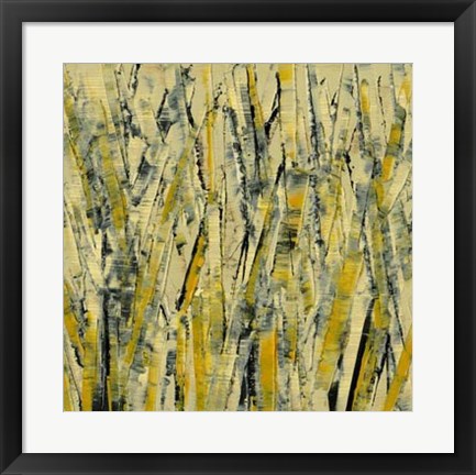 Framed Birches III Print