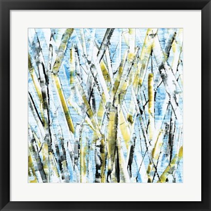 Framed Birches IV Print