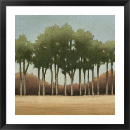 Framed Stand of Trees II Print