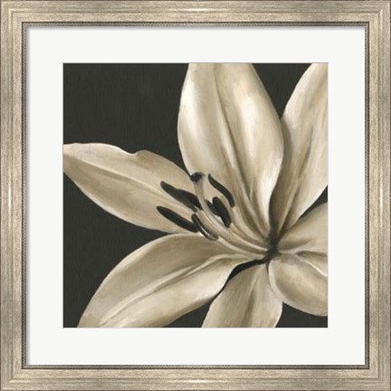 Framed Classical Blooms III Print