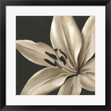 Framed Classical Blooms III Print