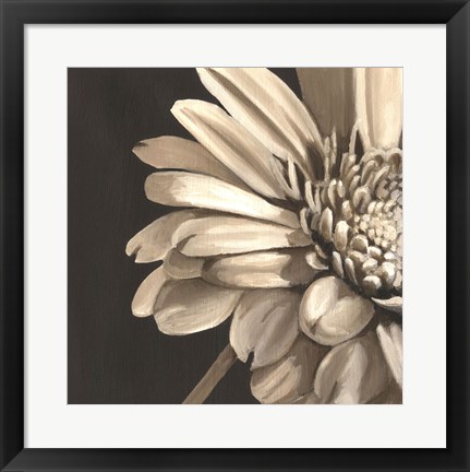 Framed Classical Blooms IV Print