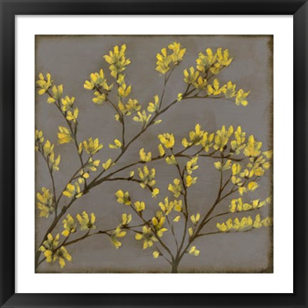 Framed Forsythia I Print