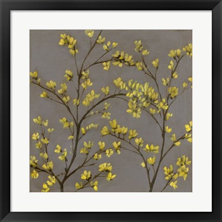 Framed Forsythia II Print