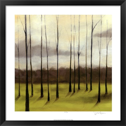 Framed Sunlit Treeline II Print