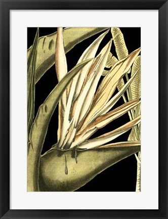 Framed Tranquil Tropical Leaves III Print