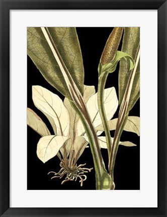 Framed Tranquil Tropical Leaves V Print