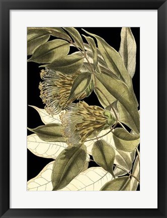 Framed Tranquil Tropical Leaves VI Print