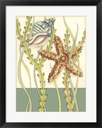 Framed Shell Season I Print