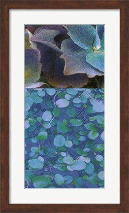 Framed Hydrangea Mix II Print