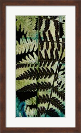 Framed Midnight Ferns II Print