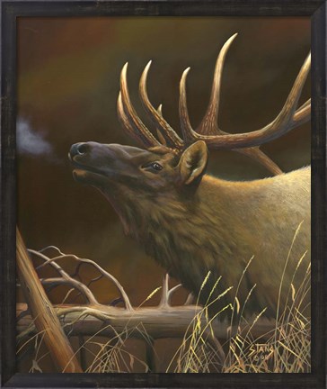 Framed Elk Portrait I Print