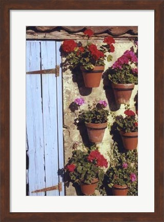 Framed Geranium Wall Print