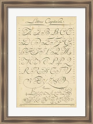 Framed Alphabet Sampler IV Print