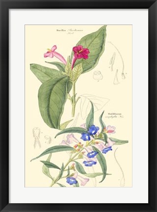 Framed Botanical IV Print