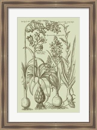 Framed Garden of Flora I Print