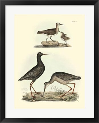 Framed Sandpipers I Print