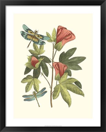 Framed Midsummer Floral III Print