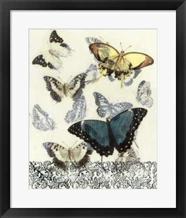 Framed Butterfly Habitat II Print