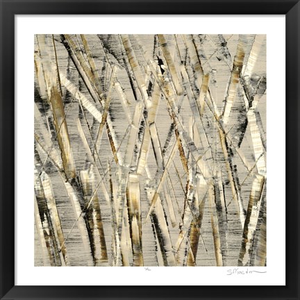 Framed Birches V Print