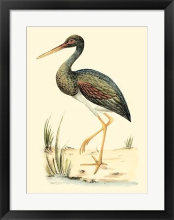 Framed Water Birds II Print