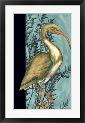 Framed Heron in the Grass I Print