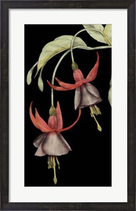 Framed Graphic Fuchsia V Print