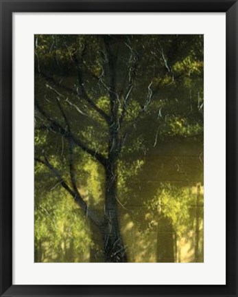 Framed Shaded Reflection I Print