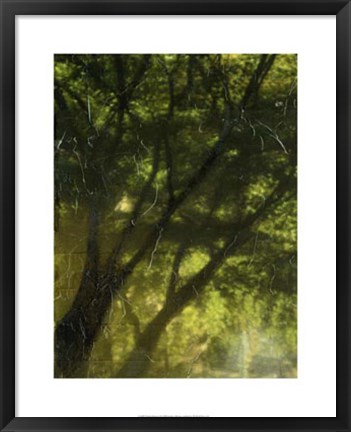 Framed Shaded Reflection II Print