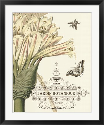 Framed Jardin Botanique II Print