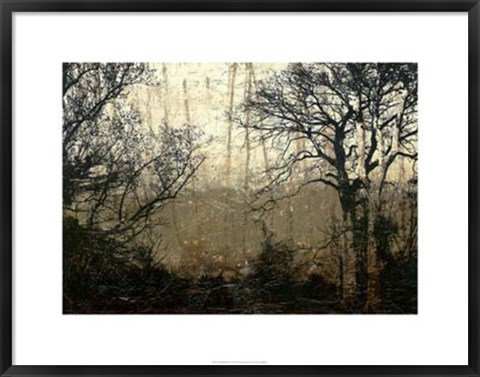 Framed Wooded Solace II Print