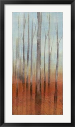 Framed Birch Forest II Print