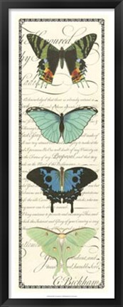 Framed Butterfly Prose Panel II Print