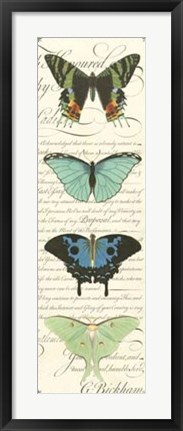 Framed Butterfly Prose Panel II Print