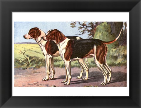 Framed Man&#39;s Best Friend VII Print