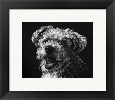 Framed Canine Scratchboard XXV Print