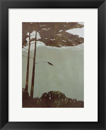 Framed Canopy Print